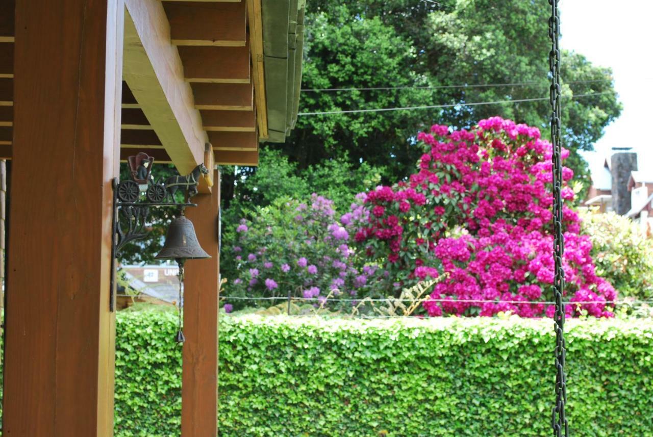 Frontera Pucon Hostel B&B Esterno foto